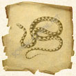 Зодиакальный знак Змей (накшатра Рохини) в лунном гороскопе индусов