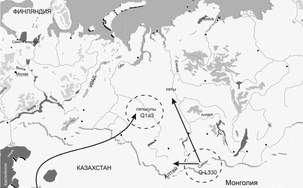 Миграция Y-хромосомной популяции Q1a3 из Средней Азии в Южную Сибирь