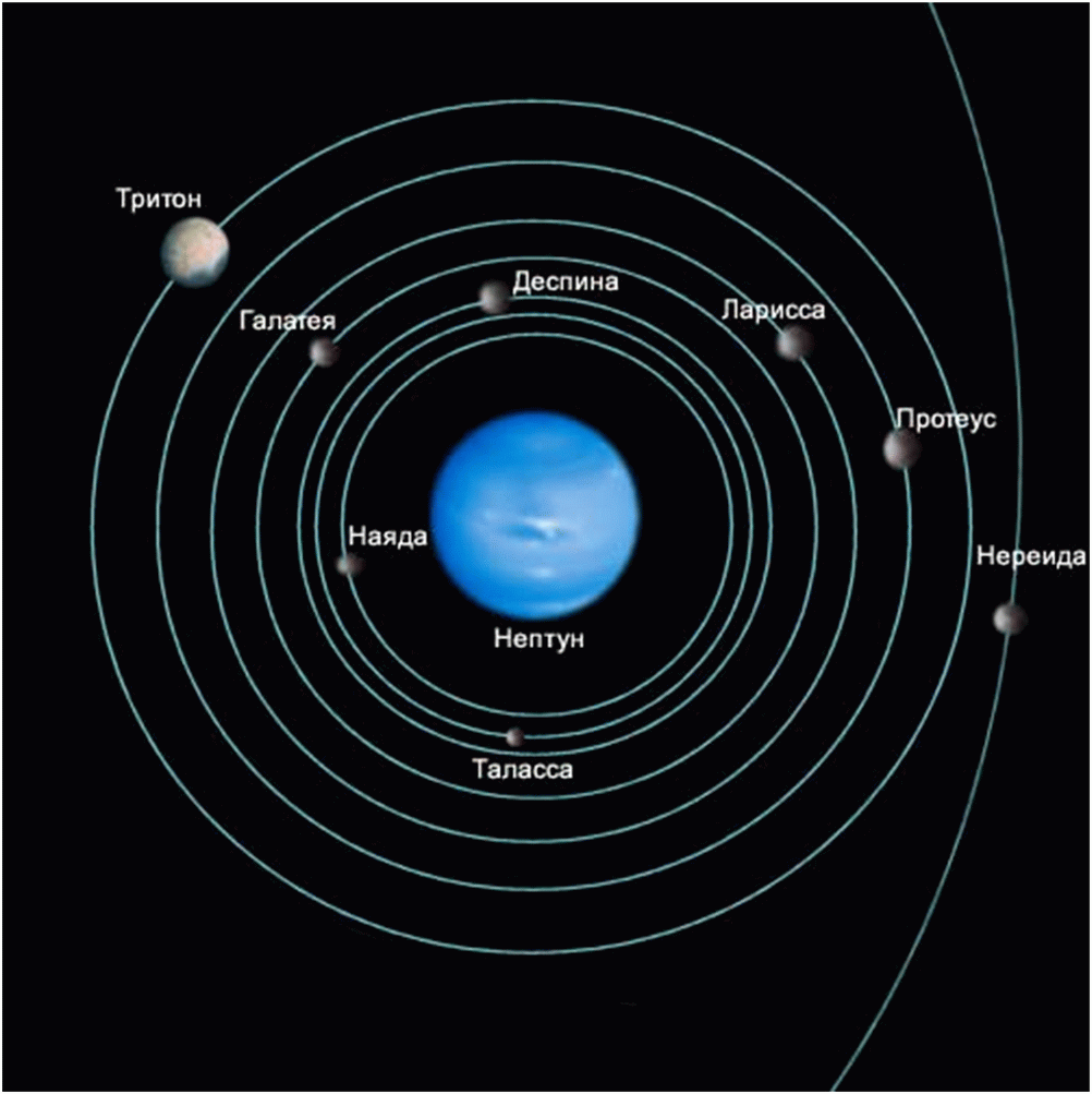 Орбиты 8 ближайших лун Нептуна (до 2013 г.)