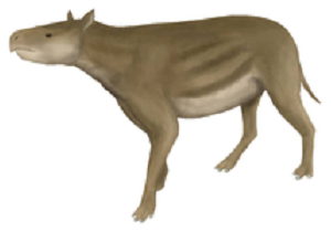 Гептодон - древний тапир