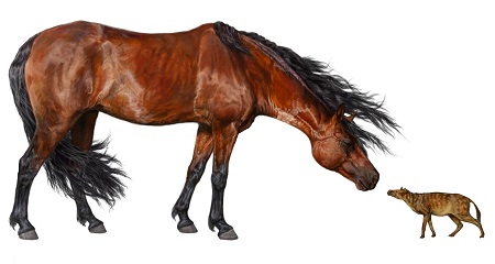 Современная и древняя лошади