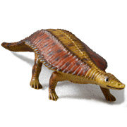 Эпотозавр - предполагаемый предок черепах