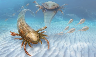 Морские ракоскорпионы