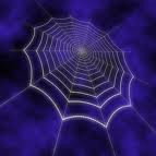 Паутина - сеть паука