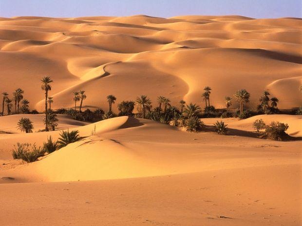 Пески Аравии