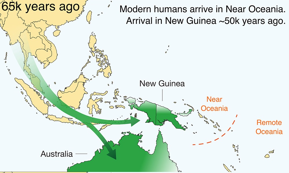 Заселение Австралии и Новой Гвинеи 65000 лет назад по данным популяционистики