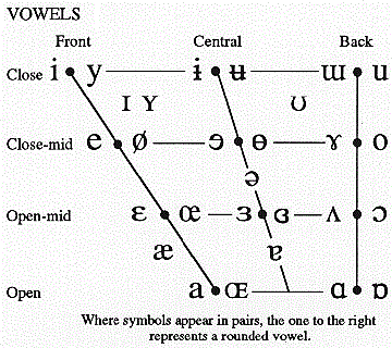 Артикуляционная система гласных (схема)