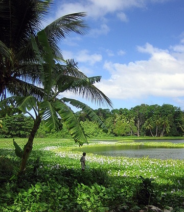 Микронезийский тропический рай в Науру