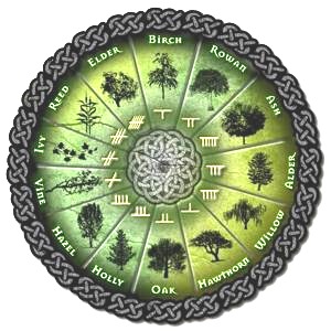 Кельтский друидический зодиак по тотемам-деревьям