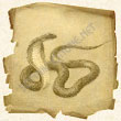 Зодиакальный знак Змея (накшатра Мригасира) в лунном гороскопе индусов