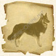 Зодиакальный знак Пёс (накшатра Моола) в лунном гороскопе индусов