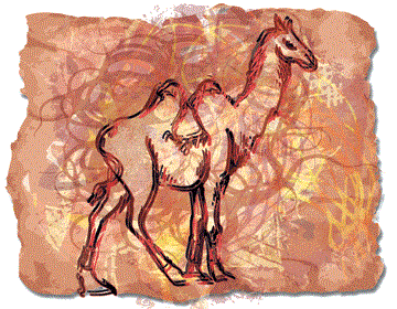 Верблюд - знак древнеперсидского тотемного гороскопа