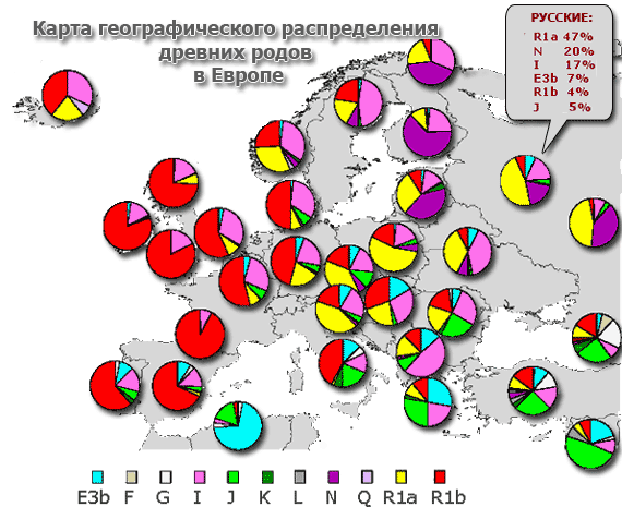 Y-гаплогруппы Европы (процентные отношения)