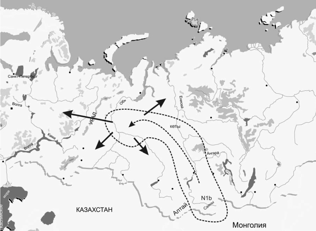 Миграция мужского рода N1b из Алтая на Северный Енисей