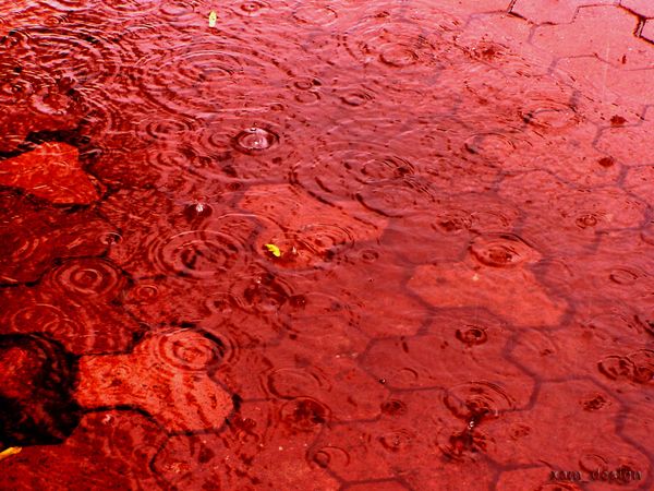 Кровавые дожди в индийском штате Керала