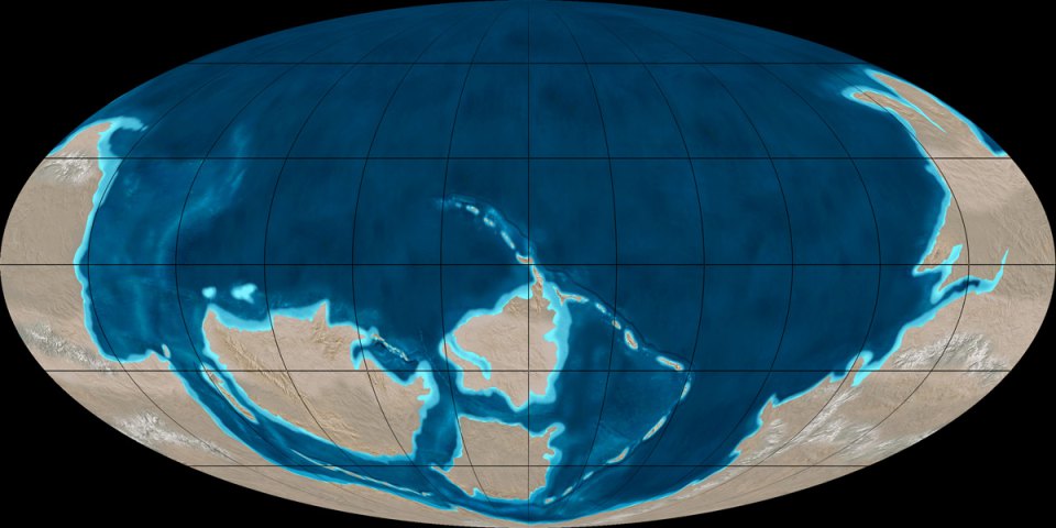 Материки Земли в кембрии (540 млн. лет назад)