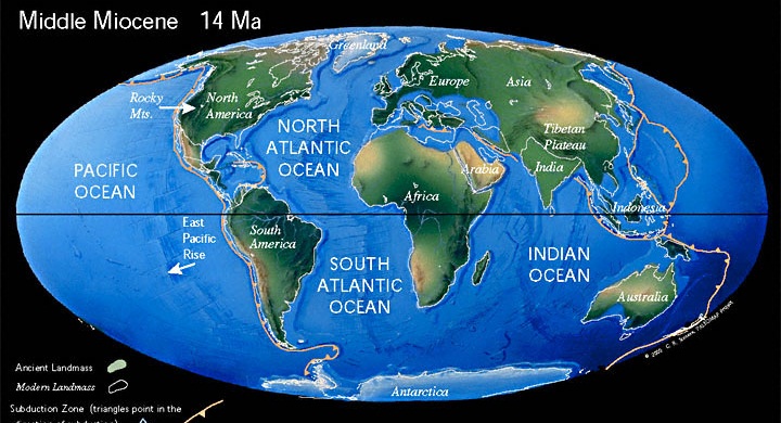Континенты в среднем миоцене (14 млн. лет назад)