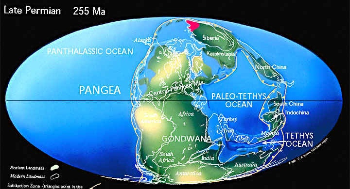 Континенты в поздней перми (255 млн. лет назад)