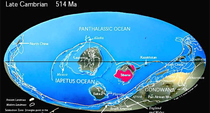 Континенты в позднем кембрии (514 млн. лет назад)