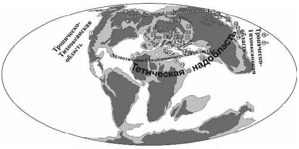 Палеобиогеография коньяк-снтона 86,3 миллиона лет назад