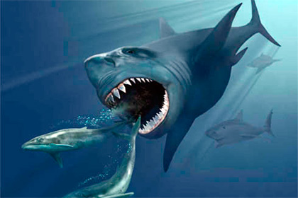 Древняя акула мегалодон
