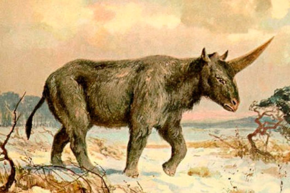 Эласмотерий - древний носорог
