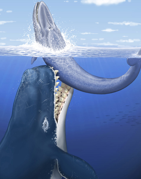Левиафан - гигантский древний кит