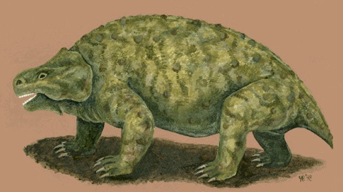 Парейазавр - другой возможный предок черепах
