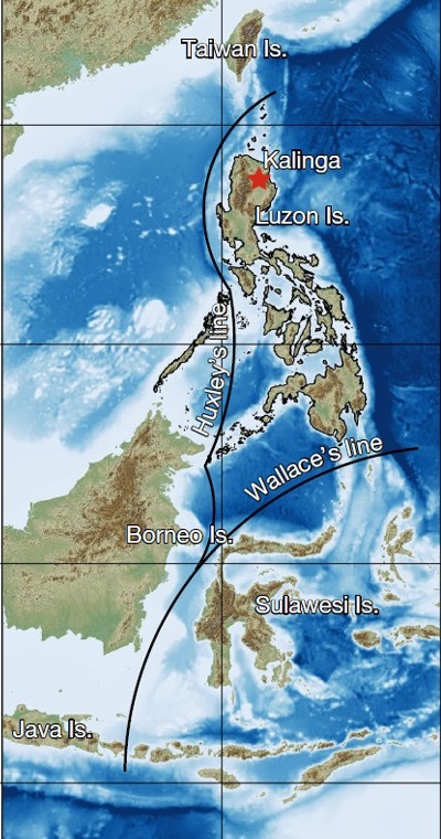 Линии Хексли и Воллеса, отделяющие Филиппины от Евразии и Индонезию от Австрало-Гвинеи