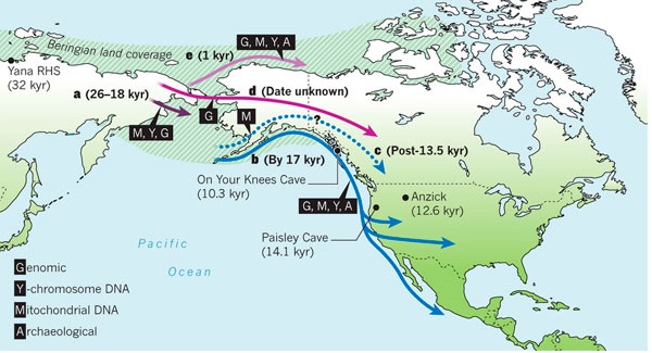 Происхождение и миграция индейцев из Азии в Америку разными потоками