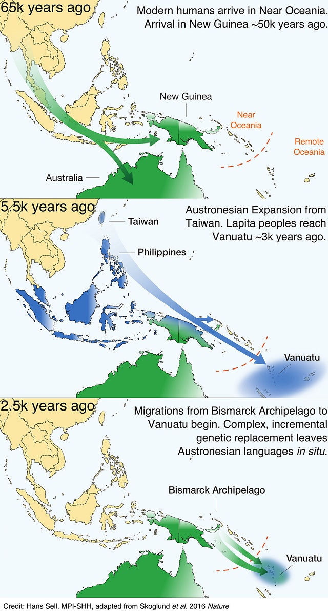 Заселение Австралии, Новой Гвинеи и Океании данным популяционистики