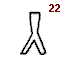 Символ Фестского диска №22