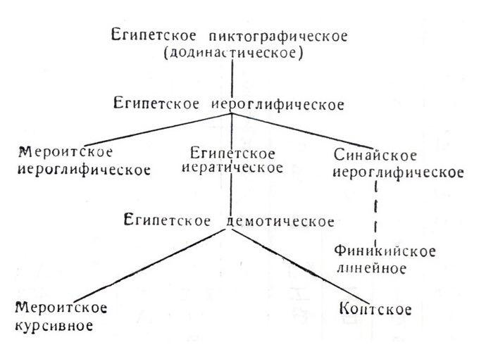 Дерево развития древнеегипетской иероглифики (Истрин. Развитие письма)