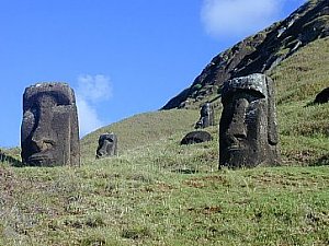 Statue moa, Easter Island